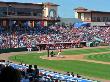 New York Yankees V Philadelphia Phillies, Clearwater, Fl - February 27: Domonic Brown by Al Messerschmidt Limited Edition Print