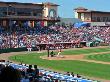 New York Yankees V Philadelphia Phillies, Clearwater, Fl - February 27: Domonic Brown by Al Messerschmidt Limited Edition Print