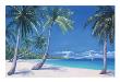 Tropical Breeze by Paul Kenton Limited Edition Print