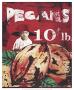 Pecans by Cedric Smith Limited Edition Pricing Art Print