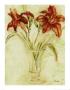 Vase Of Day Lilies Iii by Cheri Blum Limited Edition Print