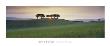 Somerset Sunrise by David Noton Limited Edition Print