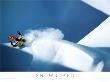 Snowboard by Philippe Royer Limited Edition Print