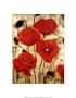 Poppies I by Dana Del Castillo Limited Edition Print