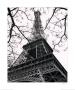 La Tour Eiffel, Spring by Toby Vandenack Limited Edition Print