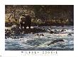 Along The Yellowstone by Wilhelm J. Goebel Limited Edition Print