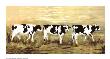 Happy Cows by Consuelo Gamboa Limited Edition Pricing Art Print