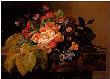Wild Roses Aricula Pansies by Johan Laurentz Jensen Limited Edition Pricing Art Print
