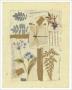 Dragonfly, Flower, Leaf Comp. I by Hannah Vince Limited Edition Print