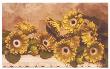 Golden Sunflower by Julie Greenwood Limited Edition Print