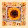 Sunflower by Petula Stone Limited Edition Pricing Art Print