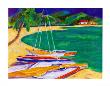 Tropical Sailboats I by Joyce Shelton Limited Edition Print