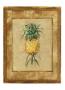 Pineapple Hospitality Ii by Zachary Alexander Limited Edition Print