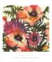 Summer Poppies Iii by Jenni Christensen Limited Edition Print