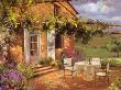 Vineyard Villa by Allayn Stevens Limited Edition Pricing Art Print