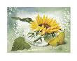 Flower Power by Franz Heigl Limited Edition Print