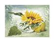 Flower Power by Franz Heigl Limited Edition Print