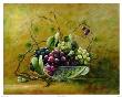 Grapevine Breeze by Lisa White Limited Edition Print