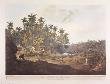View Near Point De Galle, Ceylon by Henry Salt Limited Edition Print