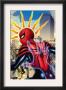 Amazing Spider-Girl #16 Cover: Spider-Girl Fighting And Flying by Ron Frenz Limited Edition Print