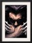 Wolverine #55 Cover: Wolverine by Simone Bianchi Limited Edition Print