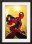 New Avengers #59 Cover: Spider-Man And Spider Woman by Stuart Immonen Limited Edition Print