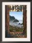 California Redwoods - Ocean Scene, C.2009 by Lantern Press Limited Edition Print