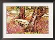 The Stone Bench In The Garden Of Saint-Paul Hospital by Vincent Van Gogh Limited Edition Pricing Art Print