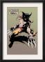 Wolverine #10: Wolverine by Kent Williams Limited Edition Pricing Art Print