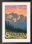 Sequoia Nat'l Park - Spring Flowers - Lp Poster, C.2009 by Lantern Press Limited Edition Print