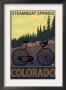 Steamboat Springs, Co - Mountain Bike Trail, C.2009 by Lantern Press Limited Edition Print