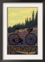 Kings Canyon Nat'l Park - Bike And Trail - Lp Poster, C.2009 by Lantern Press Limited Edition Pricing Art Print