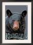 Kings Canyon Nat'l Park - Black Bear Up Close - Lp Poster, C.2009 by Lantern Press Limited Edition Pricing Art Print