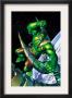 Incredible Hulk #89 Cover: Hulk by Brandon Peterson Limited Edition Pricing Art Print