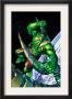 Incredible Hulk #89 Cover: Hulk by Brandon Peterson Limited Edition Pricing Art Print