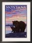 Montana - Big Sky Country - Bear And Cub, C.2008 by Lantern Press Limited Edition Pricing Art Print