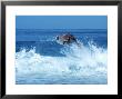 Surfing Banzai Pipeline, Oahu, Hi by Pat Canova Limited Edition Print