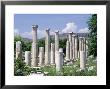 Ionic Columns, Aphrodisias, Turkey by Phyllis Picardi Limited Edition Print