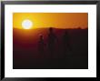 People Strolling With Sunset Behind, Muley Pt, Ut by Wiley & Wales Limited Edition Print