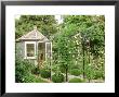 Romantic Garden, Metal Arbour With Rosa, Lonicera & Buxus Balls by Mark Bolton Limited Edition Print