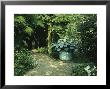 Shady Border, Foliage Plants And Hosta In Large Container Gravel Path, Orchards by Ron Evans Limited Edition Print