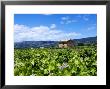 Cottage In The Vines, Ventoux, France by Alain Christof Limited Edition Print