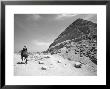 First Stepped Pyramid With Camel Rider, Egypt by David Clapp Limited Edition Print