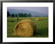 Evening Light On Freshly Baled Hay, Tn by Willard Clay Limited Edition Print
