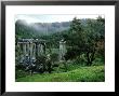 Greek Temple Of Euromos Amidst Intact Mediterranean Landscape With Olive Trees, W. Turkey by Berndt Fischer Limited Edition Print