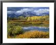 Mount Moran And Teton Range, Wyoming, Usa by Mark Hamblin Limited Edition Print