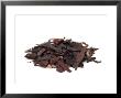 Alkanet, Alkanna Tinctoria by Geoff Kidd Limited Edition Pricing Art Print