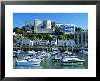 Torquay Harbour, England by Geoff Kidd Limited Edition Print