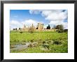 Kenilworth Castle, Warwickshire, England by Martin Page Limited Edition Pricing Art Print