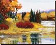 Colorado Fall Dream by Judith D'agostino Limited Edition Pricing Art Print